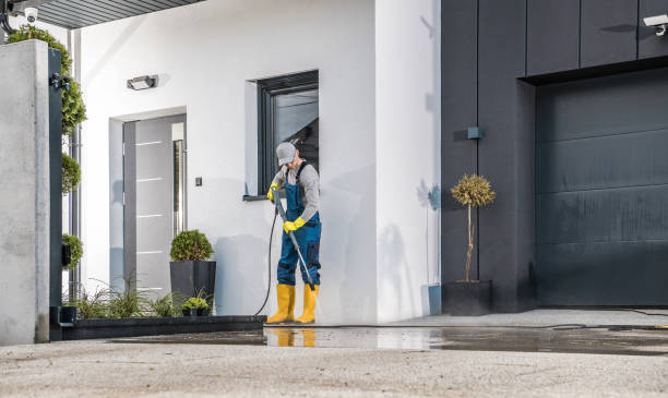 Best Fleet Vehicle Washing  in Spring Grove, IL